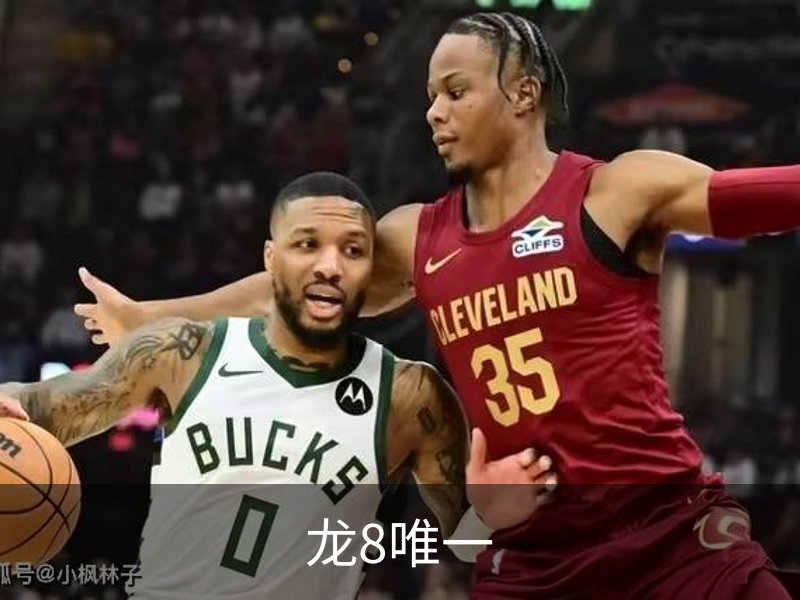 了解龙8唯一